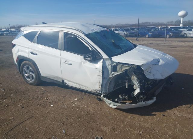 2023 HYUNDAI Tucson