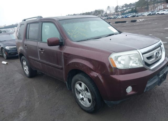 2011 HONDA Pilot