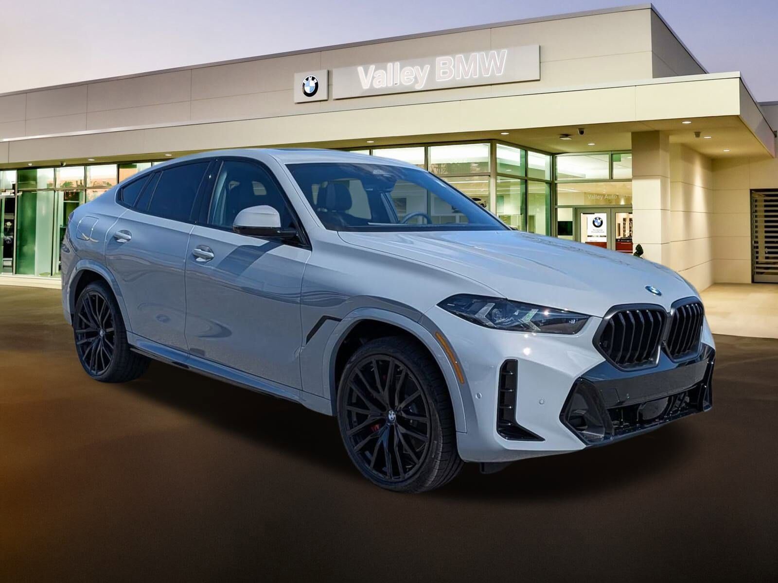 2026 BMW X6