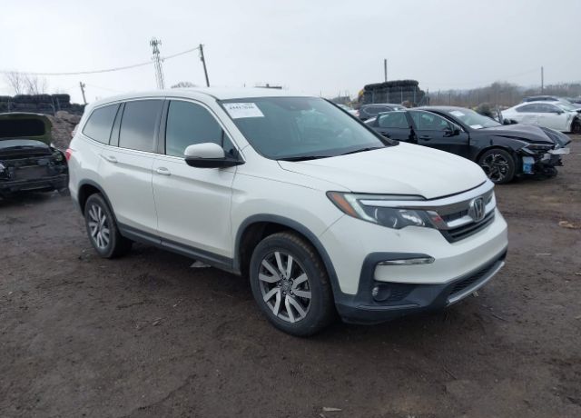 2019 HONDA Pilot