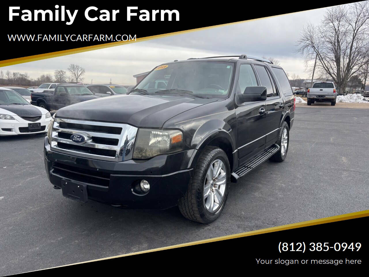 2013 FORD Expedition