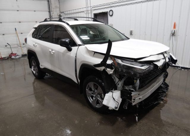2024 TOYOTA RAV4