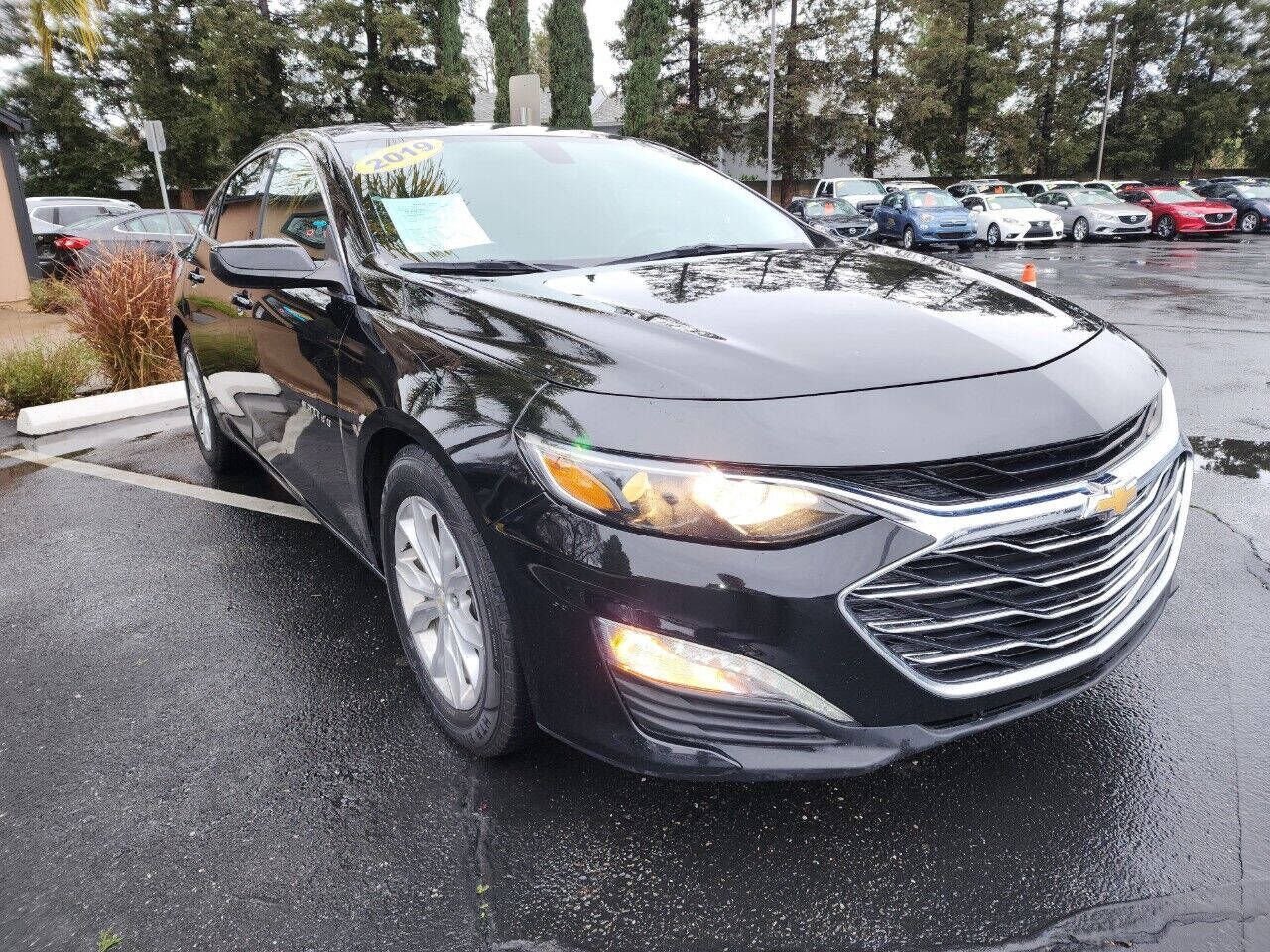2019 CHEVROLET Malibu