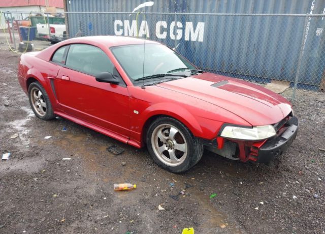 2000 FORD Mustang