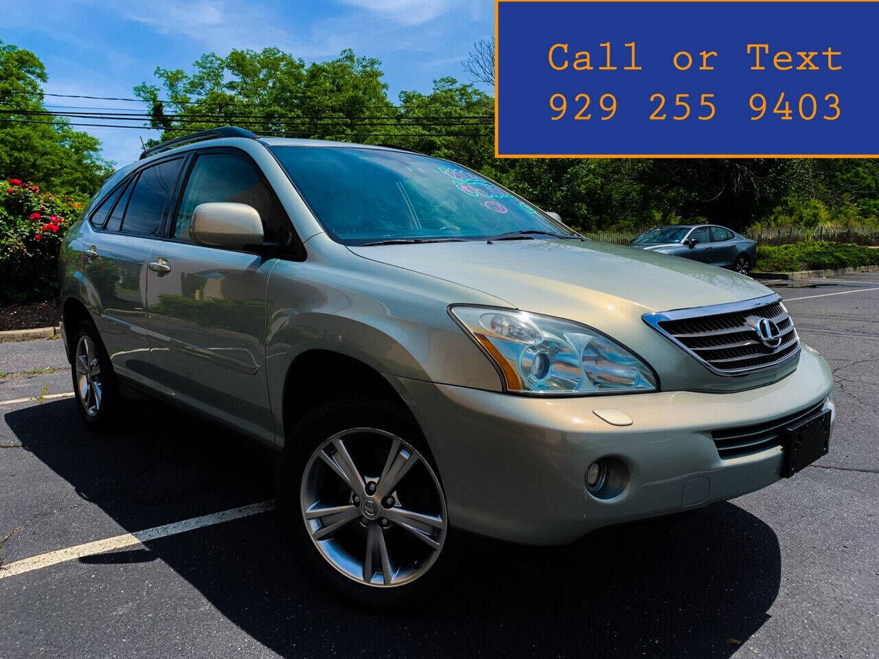 2006 LEXUS RX