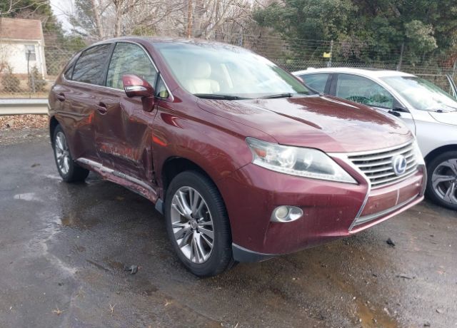 2013 LEXUS RX