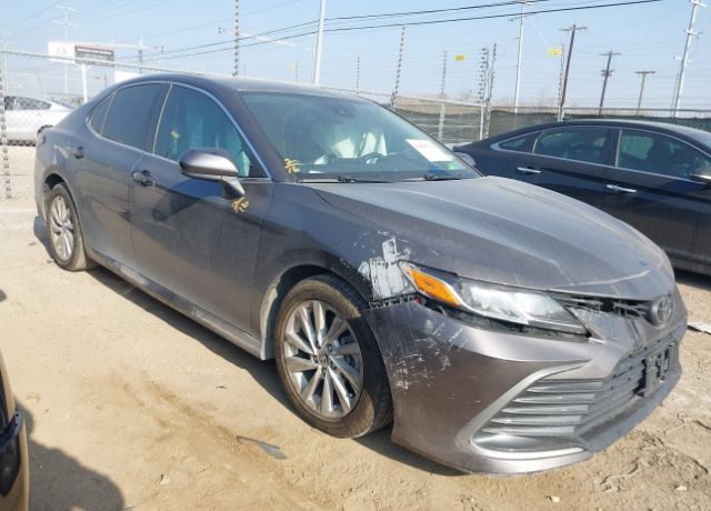 2023 TOYOTA Camry