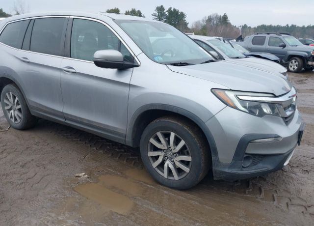 2019 HONDA Pilot