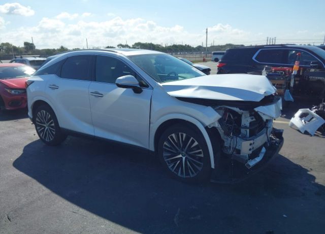 2024 LEXUS RX