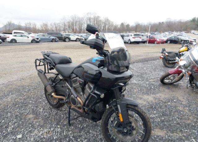 2021 HARLEY DAVIDSON RA1250 / Pan America