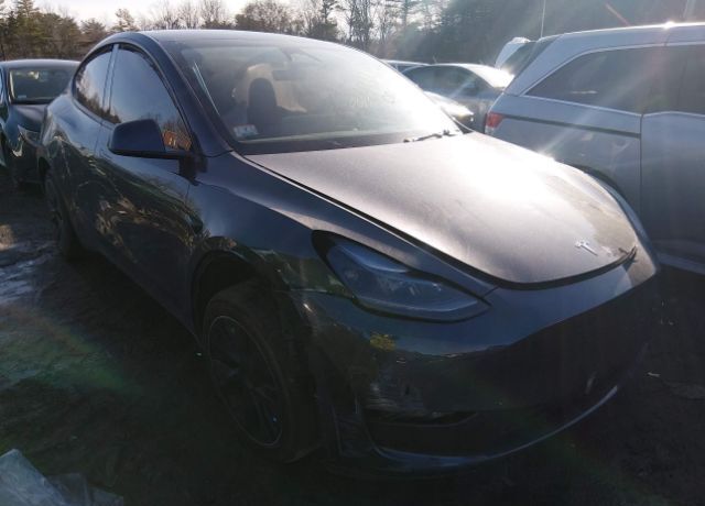 2025 TESLA Model Y