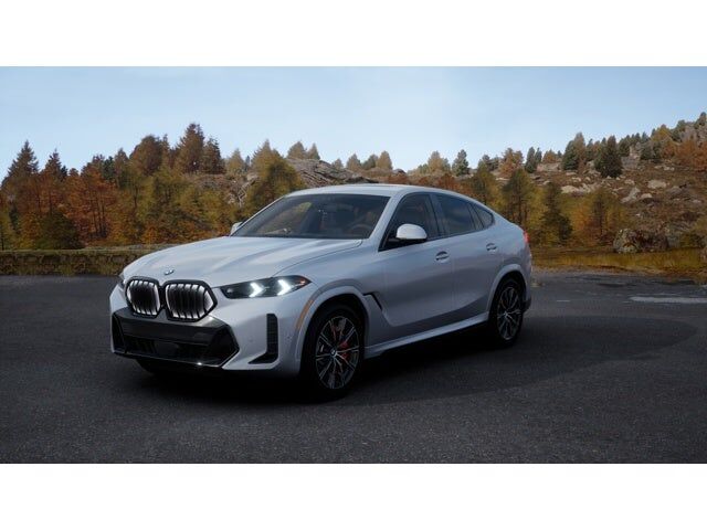 2026 BMW X6