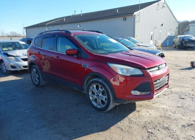 2013 FORD Escape