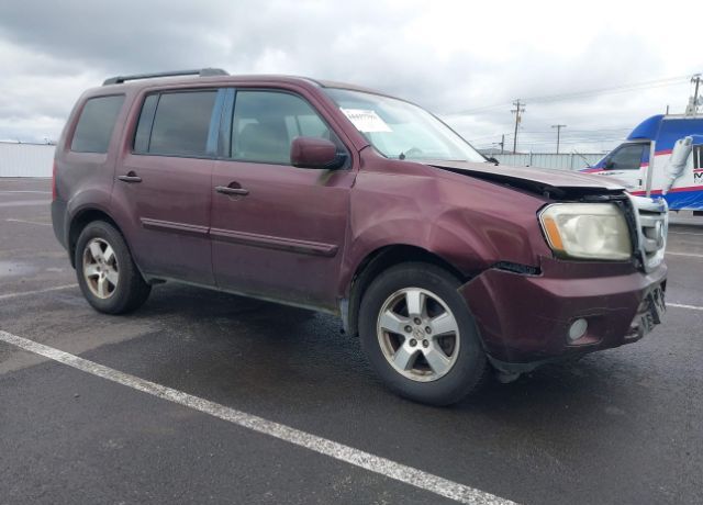 2011 HONDA Pilot