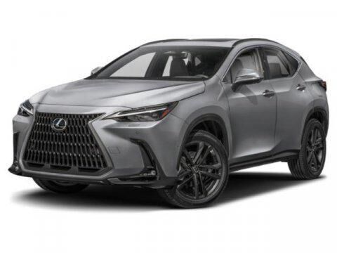 2025 LEXUS NX