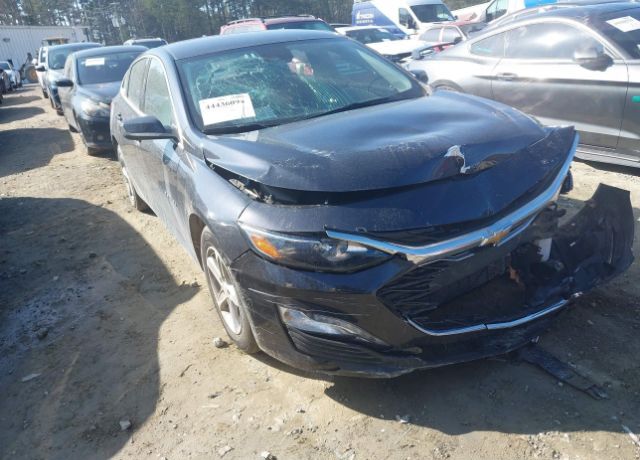 2023 CHEVROLET Malibu