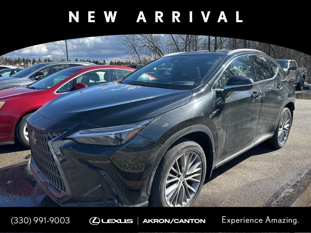 2024 LEXUS NX