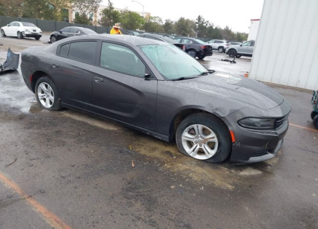 2019 DODGE Charger