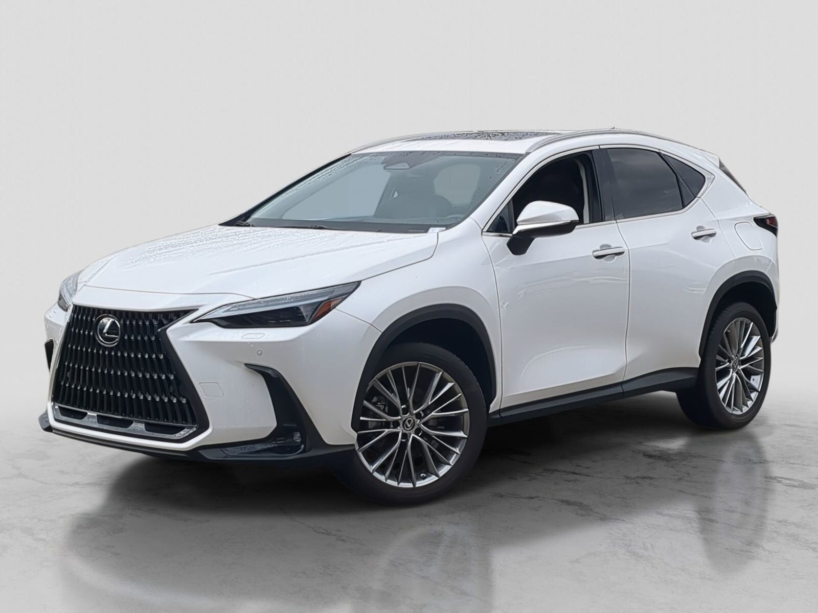 2023 LEXUS NX