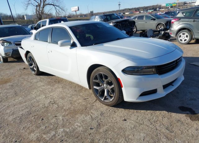 2019 DODGE Charger