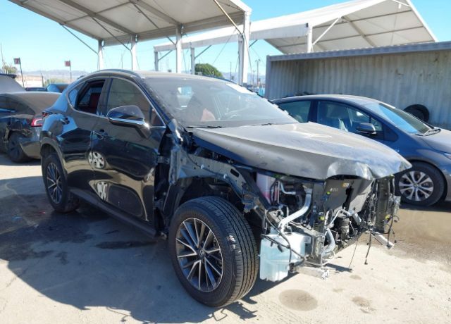 2025 LEXUS NX