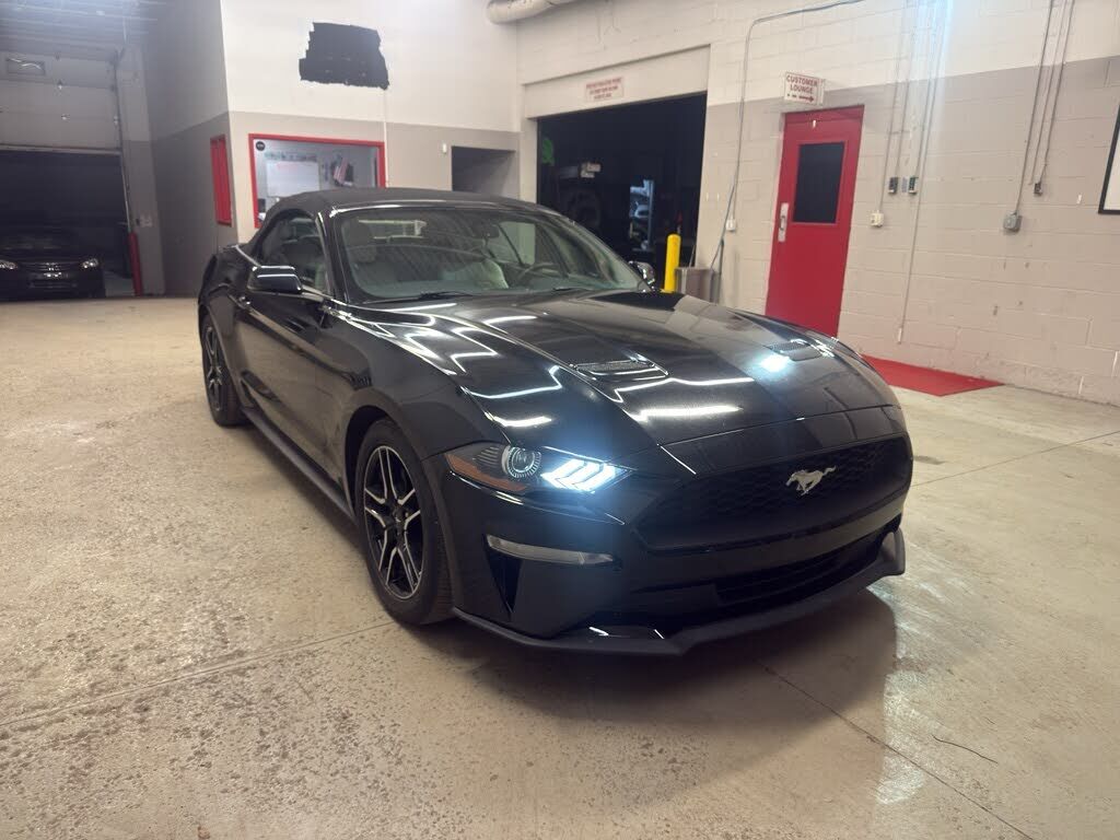 2019 FORD Mustang
