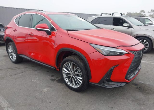 2025 LEXUS NX