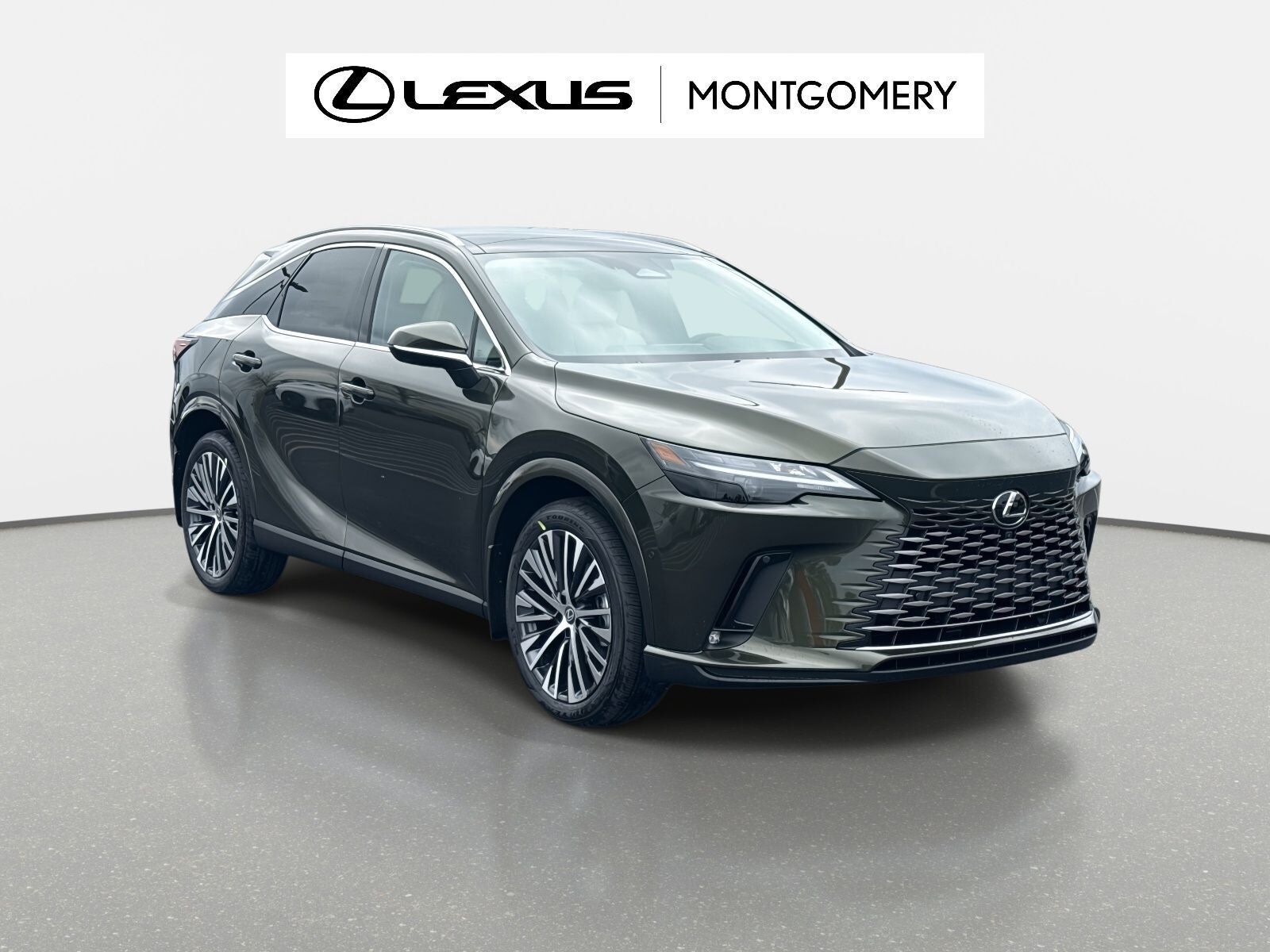 2026 LEXUS RX
