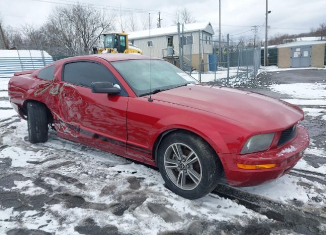 2005 FORD Mustang