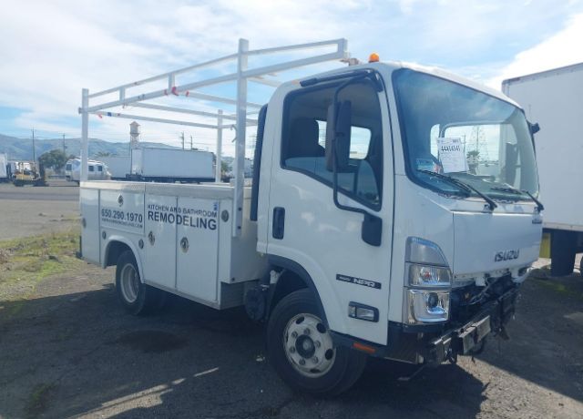 2023 ISUZU NPR
