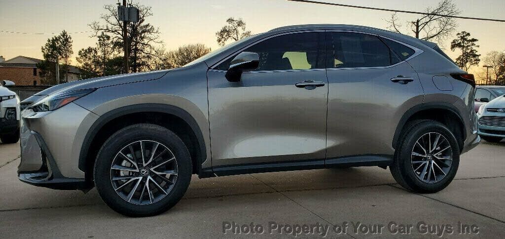 2024 LEXUS NX