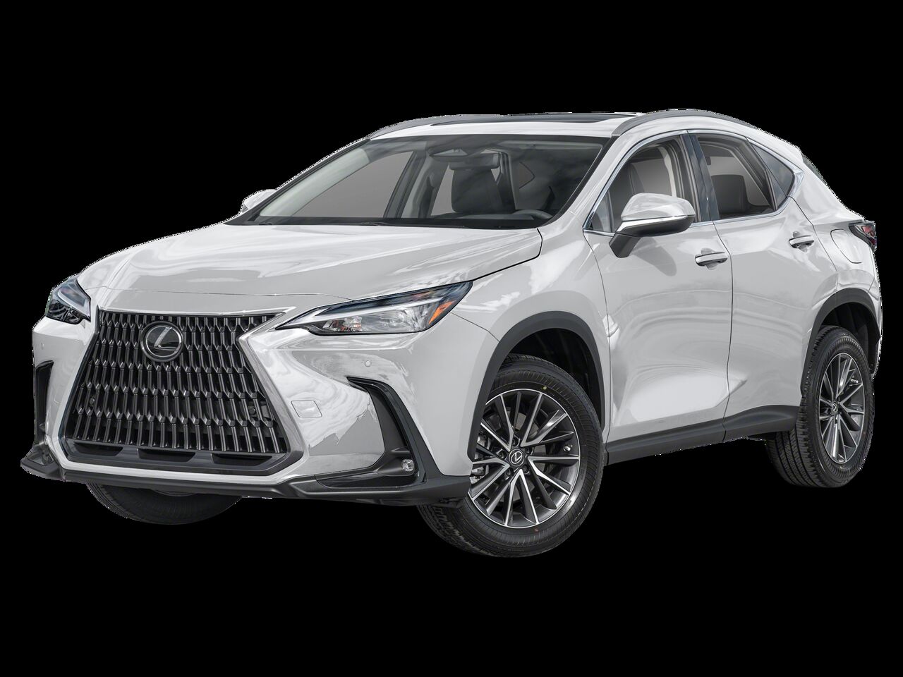 2025 LEXUS NX