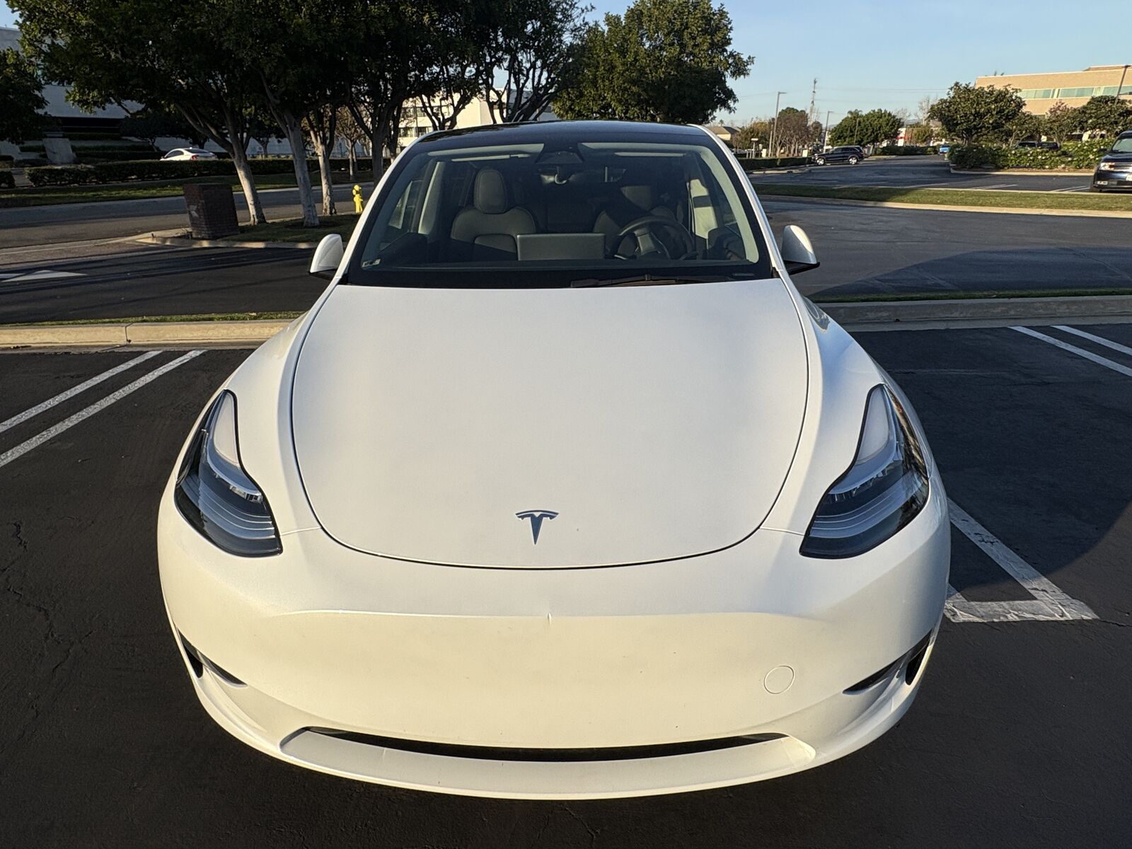 2023 TESLA Model Y