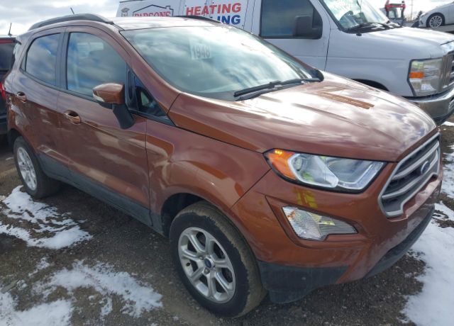 2019 FORD Ecosport