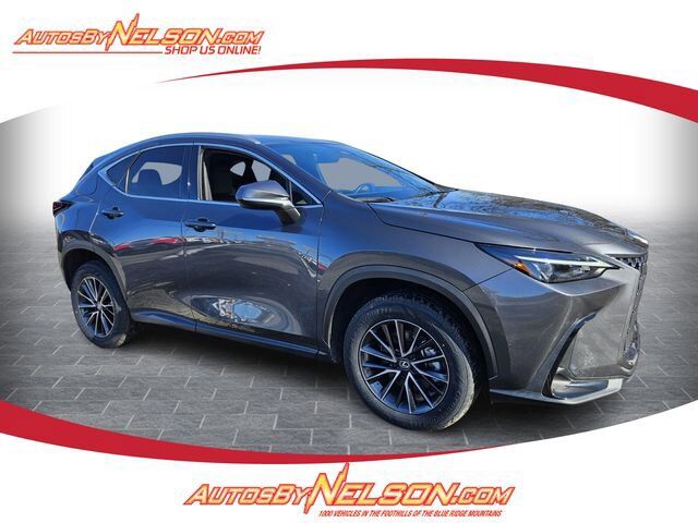 2024 LEXUS NX