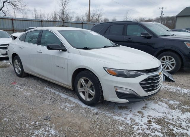 2019 CHEVROLET Malibu