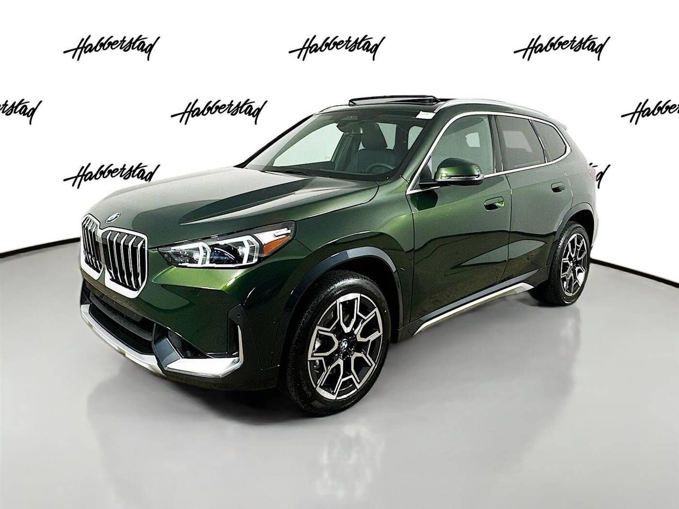 2025 BMW X1
