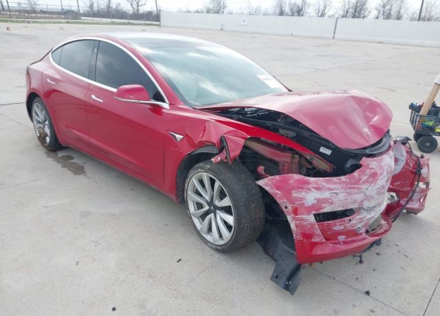 2019 TESLA Model 3