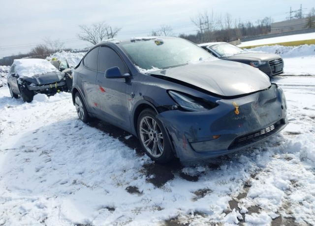 2020 TESLA Model Y
