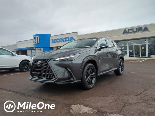 2026 LEXUS NX