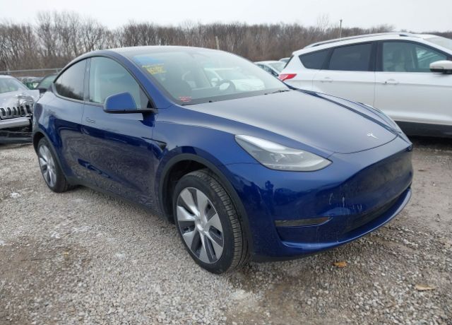 2024 TESLA Model Y