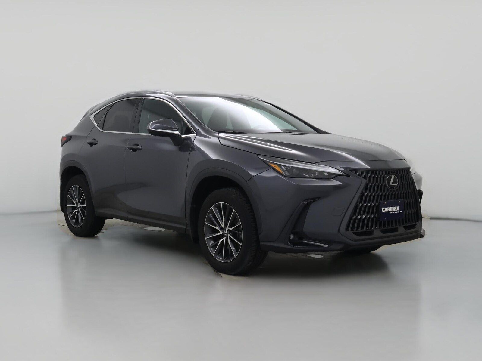 2024 LEXUS NX