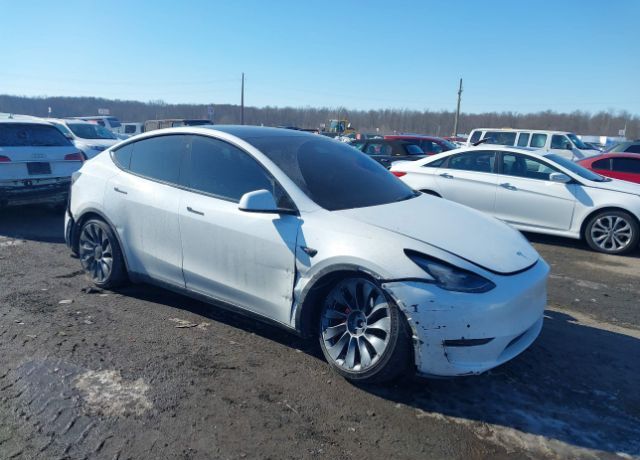 2022 TESLA Model Y