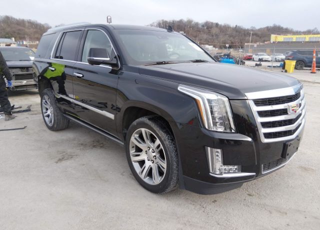 2017 CADILLAC Escalade