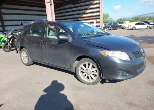2009 TOYOTA Corolla