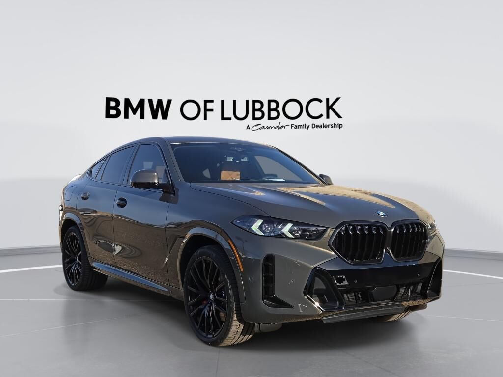2026 BMW X6