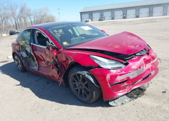 2019 TESLA Model 3
