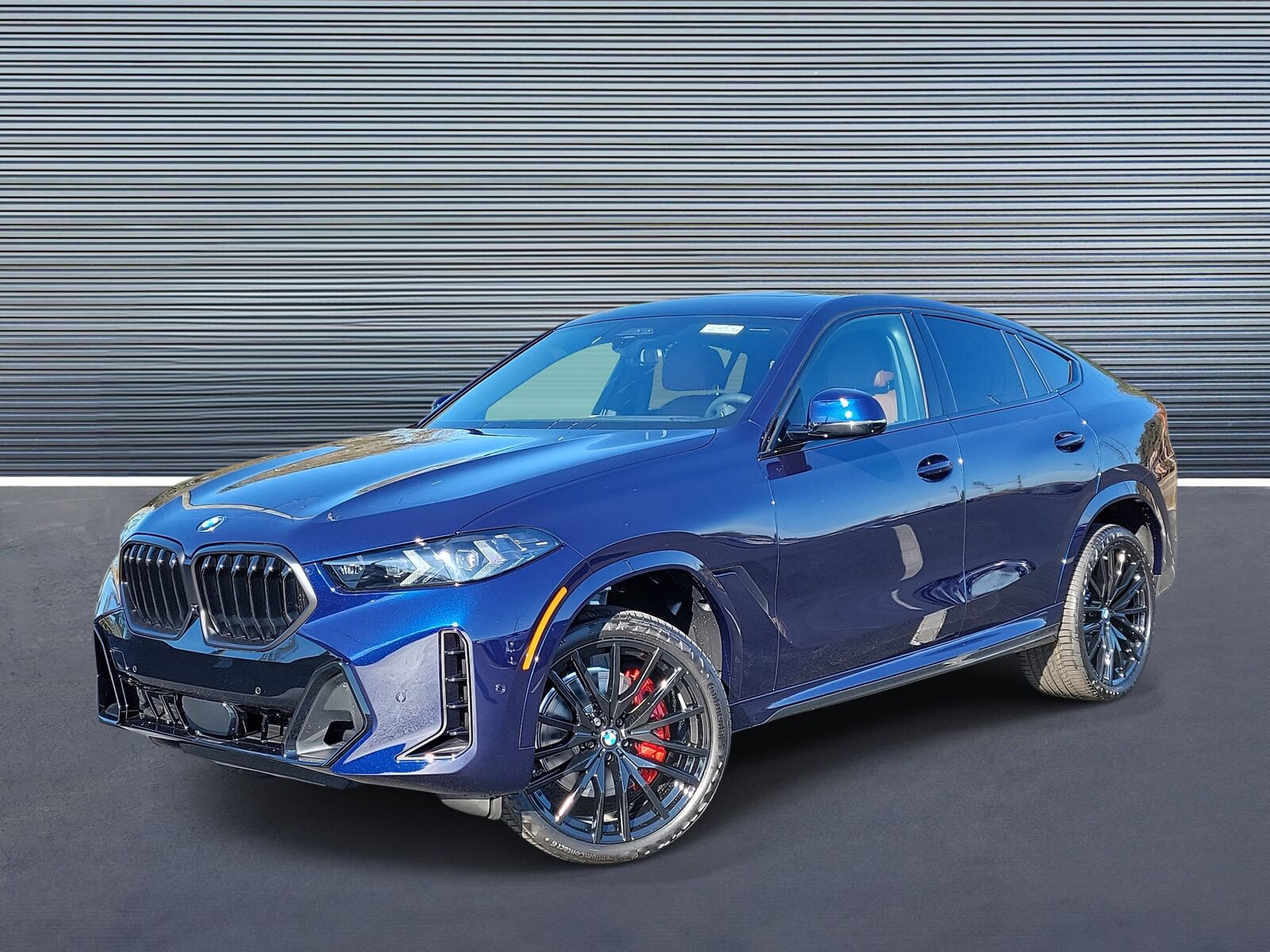 2026 BMW X6