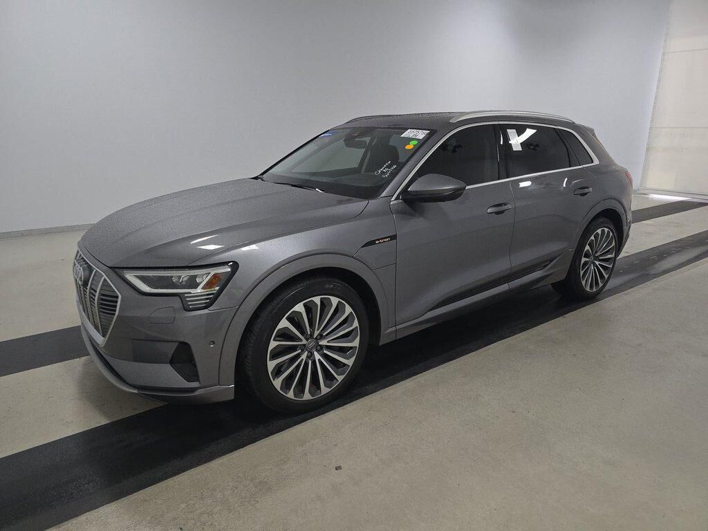 2019 AUDI e-tron