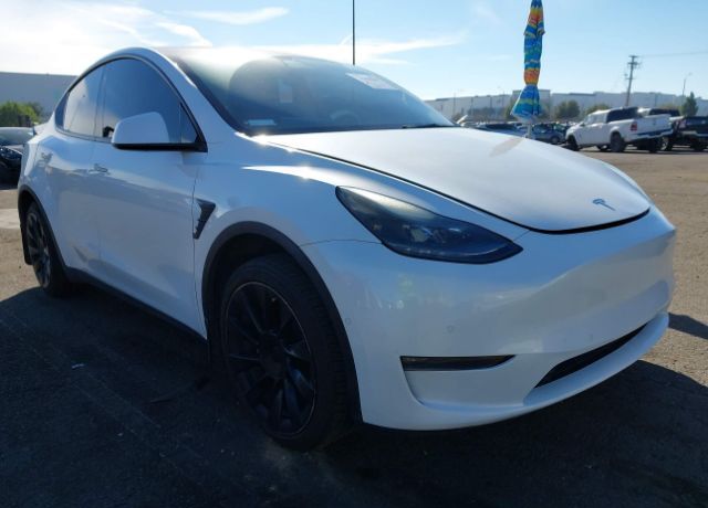 2021 TESLA Model Y